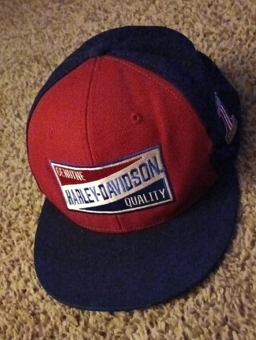 Vintage Harley-DavidsonĀ® Men's Go Faster Snapback Two-Tone Baseball Cap